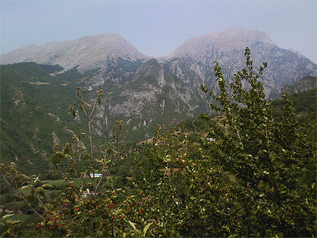 Tropoje Tropoje