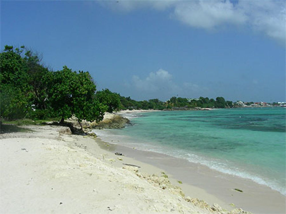 Plage des raisins clairs