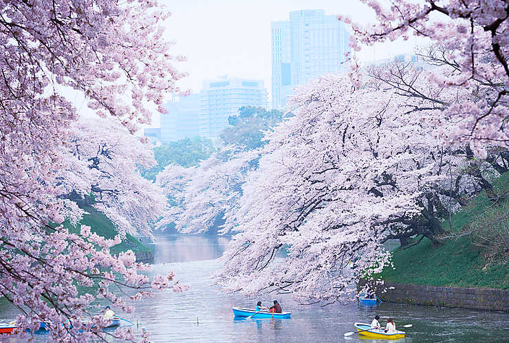 Tourisme - Tokyo et Kyoto élues villes les plus agréables du monde