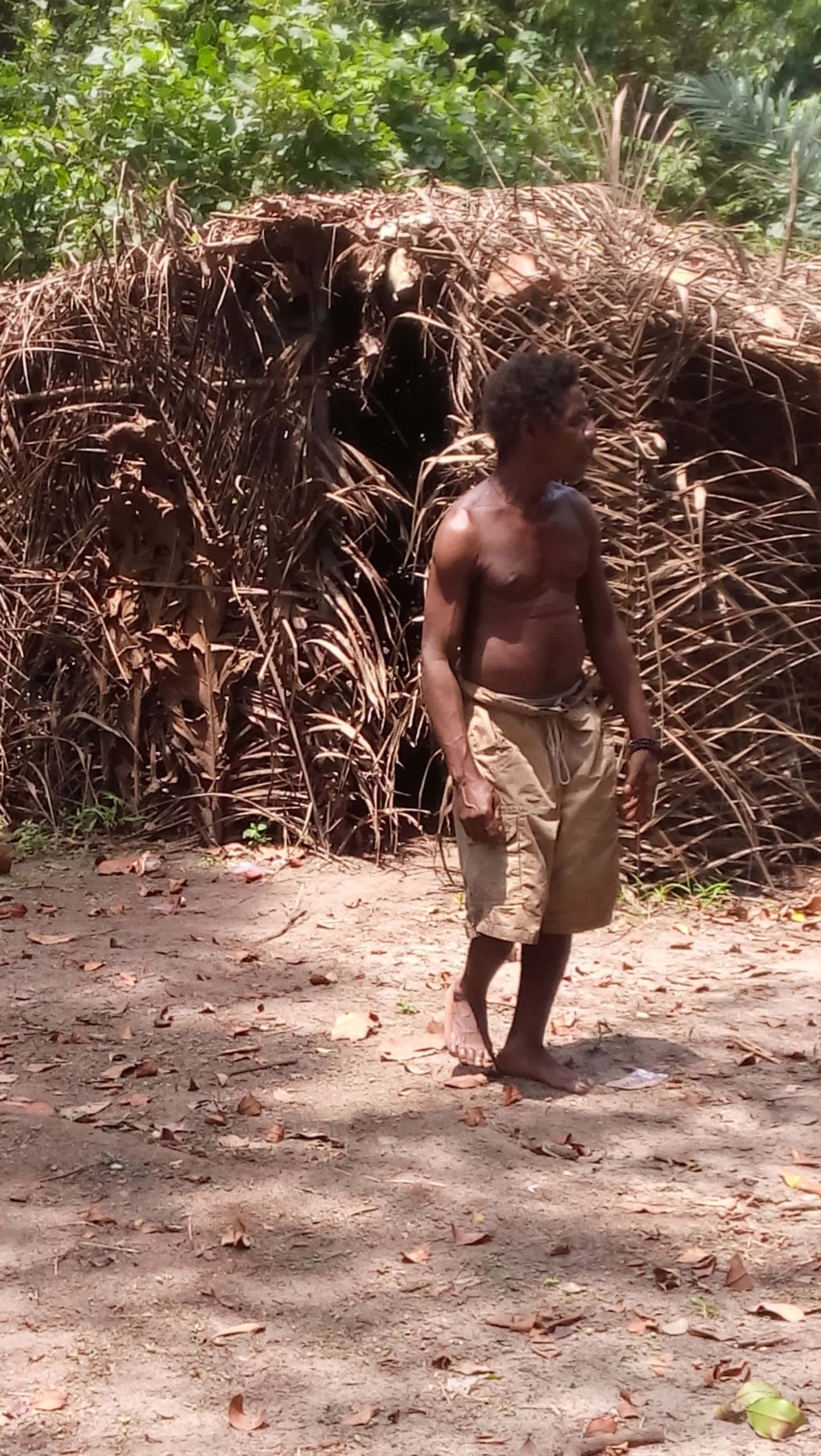 Visite du village pygmée