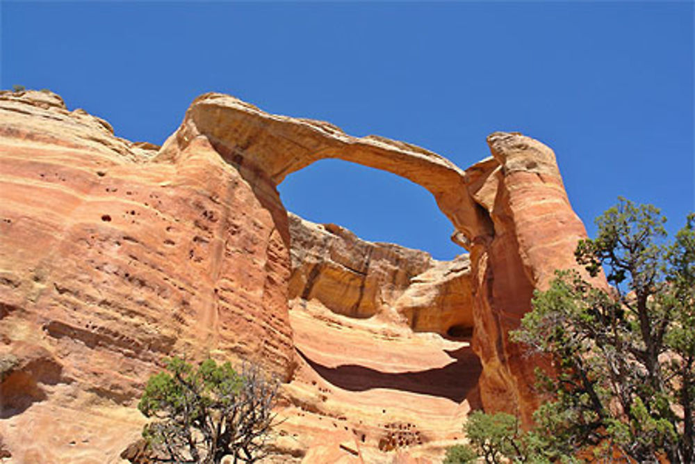 Rainbow arch