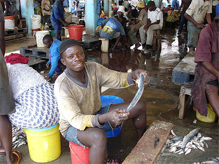 Marché aux poissons Marché aux poissons