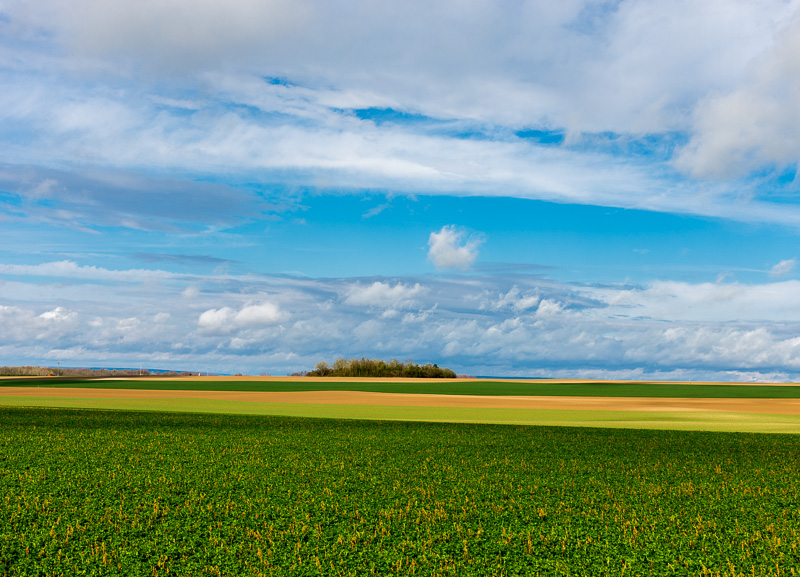 Non loin de Châlons, dans la Marne Non loin de Châlons, dans la Marne