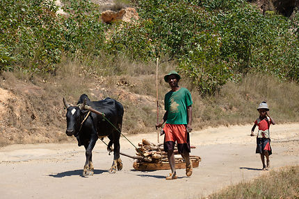 Sur la route du village de Soatanana, Madagascar