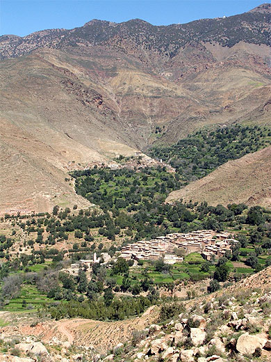 Fond de vallée verdoyant Fond de vallée verdoyant