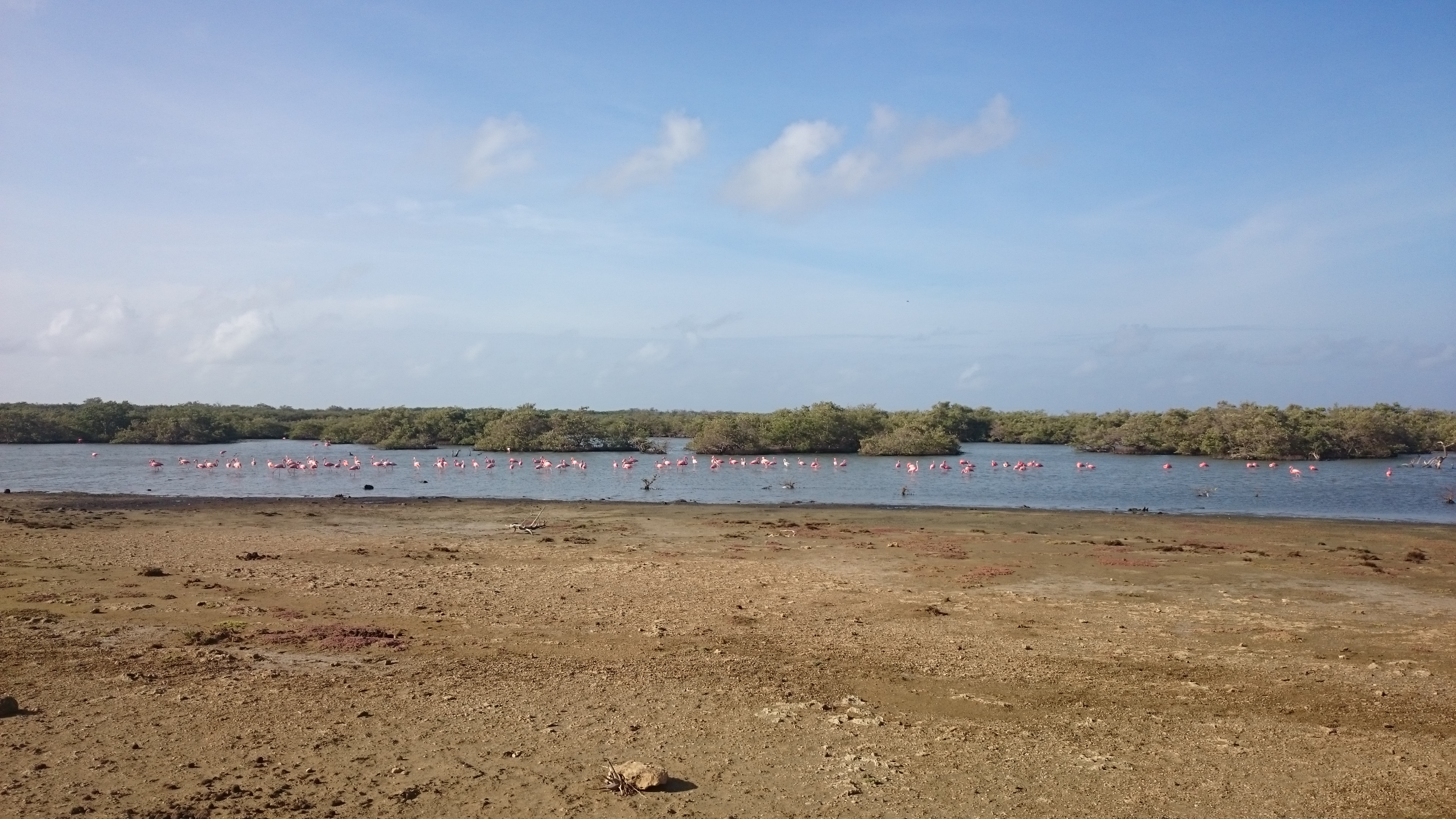 Bonaire Bonaire