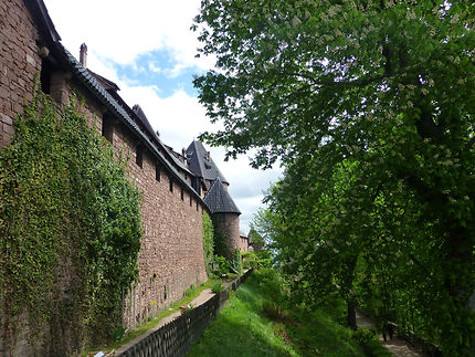 Mur d'enceinte du château du Haut-Kœnigsbourg