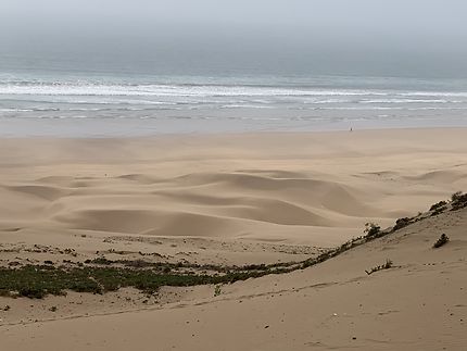 Plage et dunes au Maroc