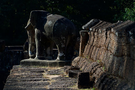 Eléphant du Mebon à Angkor