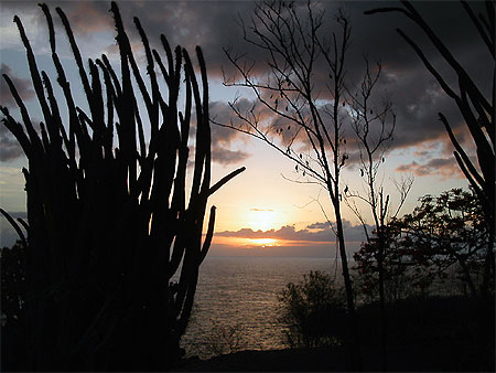 Anse à la barque Anse à la barque