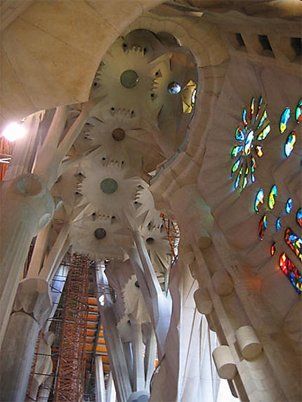 Immense plafond à l'intérieur de la Sagrada Familia