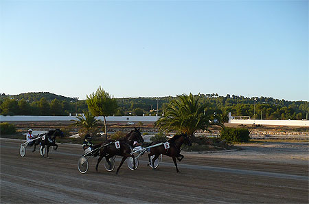 Courses à l'hippodrome Courses à l'hippodrome