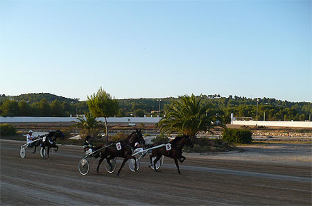 Courses à l'hippodrome