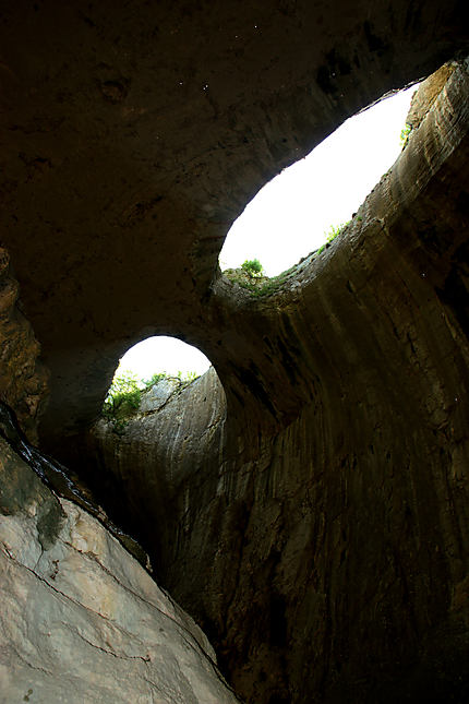 Grotte "Prohodna"