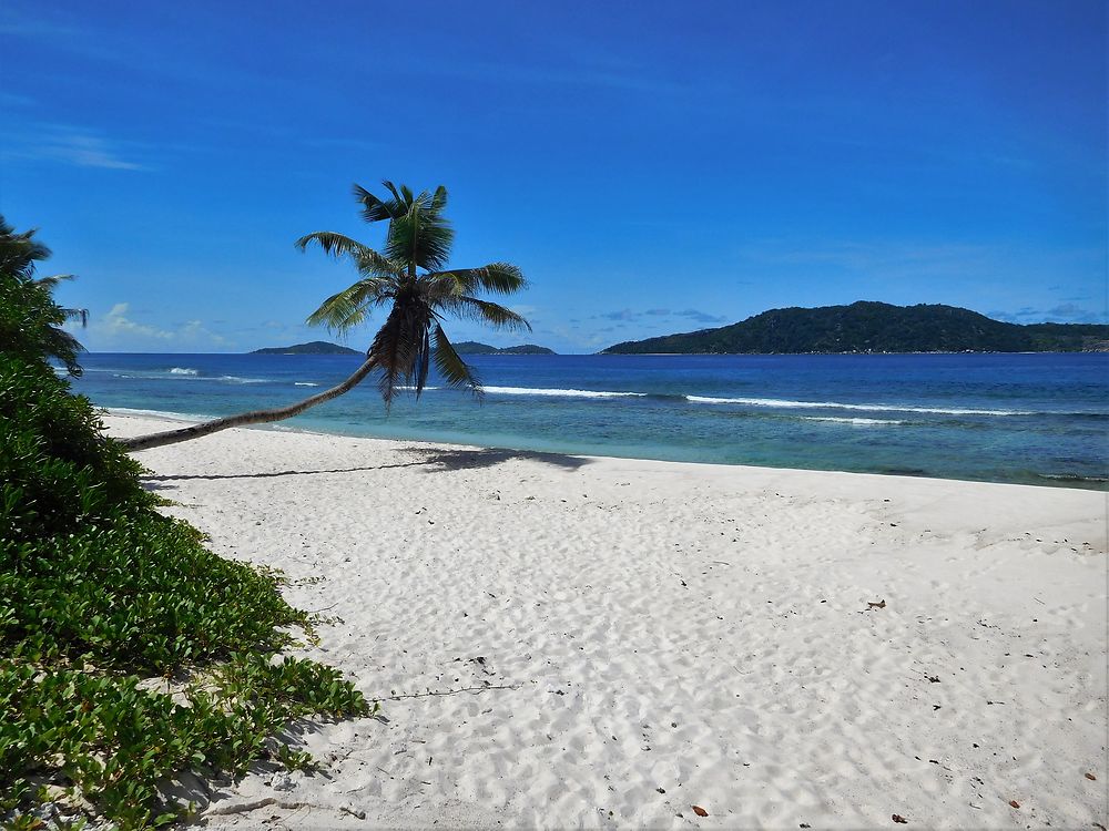 Anse Fourmi sur l'île de La Digue aux Seychelles