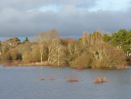 Des reflets d'or sur les marais de Trevignon