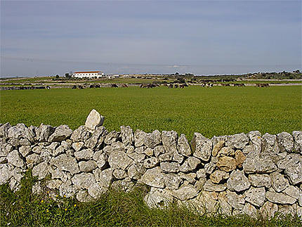 Mur de pierre sèche