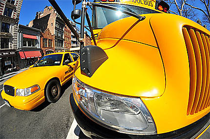 School bus & Taxi