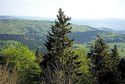 Un paysage de la forêt de Thuringe