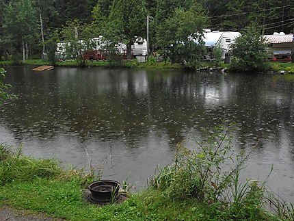 Pluie sur le lac à L'Île-aux-Coudres