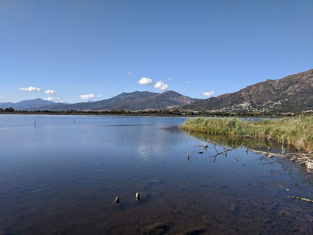 Etang de la cote est