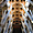 Plafond de la Sagrada Familia avec sa luminosité naturelle