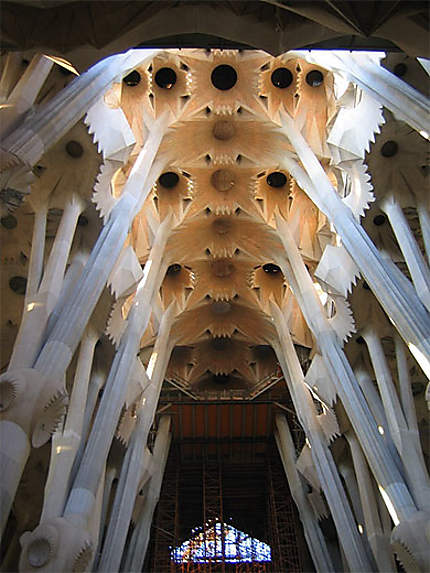 Plafond de la Sagrada Familia avec sa luminosité naturelle