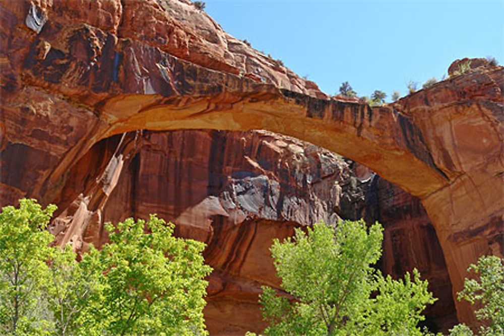 Escalante natural bridge