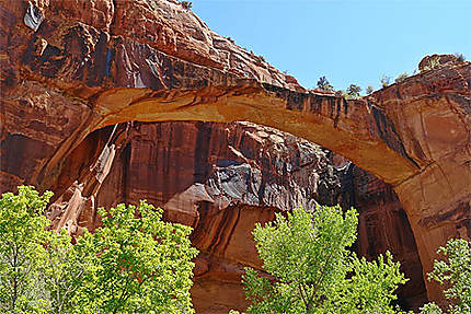 Escalante natural bridge