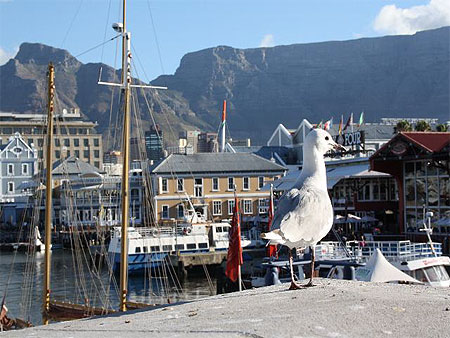 Un air de Norvège en Afrique du Sud Un air de Norvège en Afrique du Sud