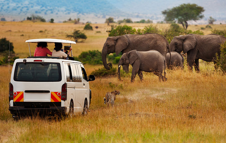 Parcs et réserves du Kenya : infos pratiques