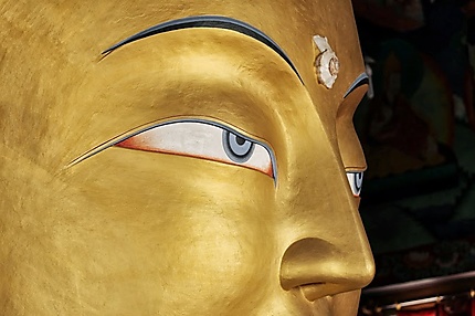 L'Oeil magique de Bouddha