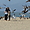 Les oiseaux à Santa Monica