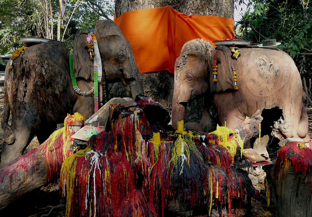 Eléphants aux bougies