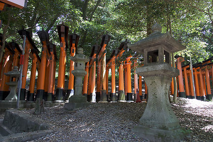 Torii du sanctuaire Fushimi Inari-taisha