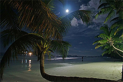 Pleine lune sur la plage
