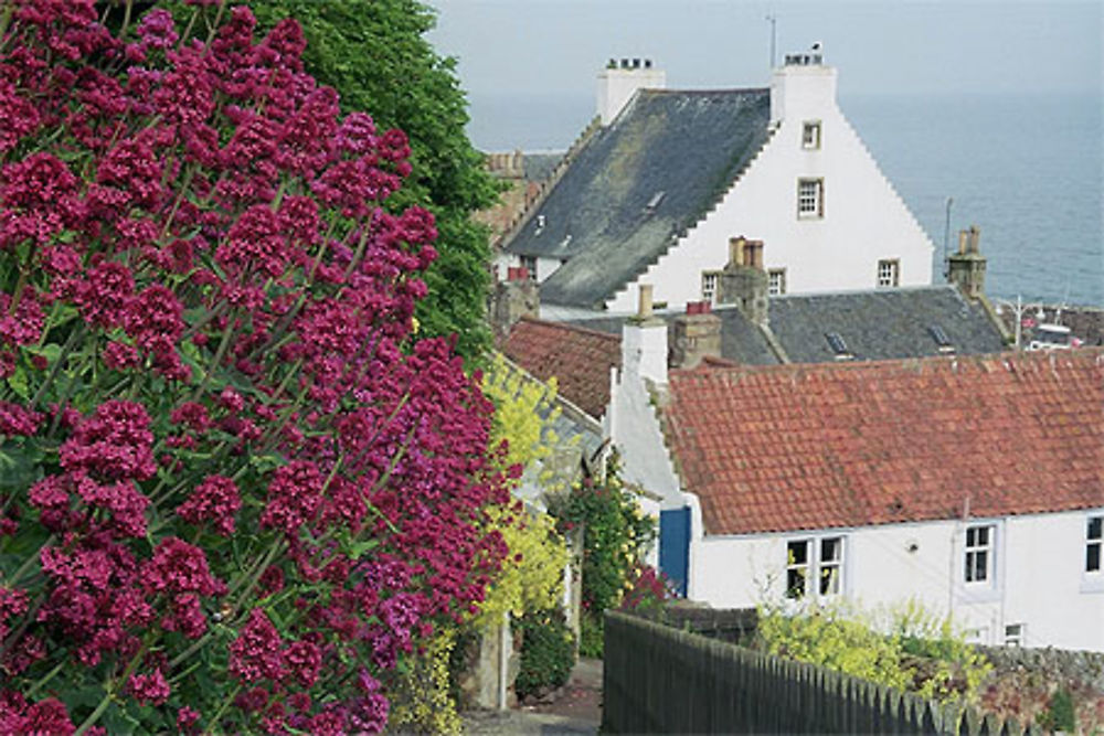 Sur la route du Fife