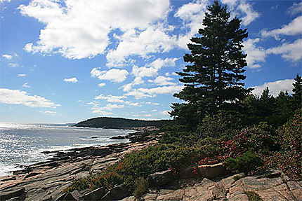Paysage côtier du Acadia National Park