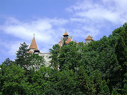 Château de Bran