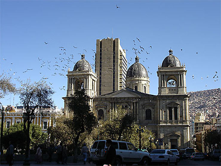 Catedral Metropolitana de la Paz - Vittorio Carlucci