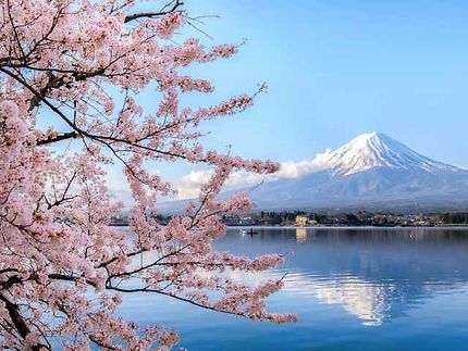 Japon : traditions ancestrales et modernité