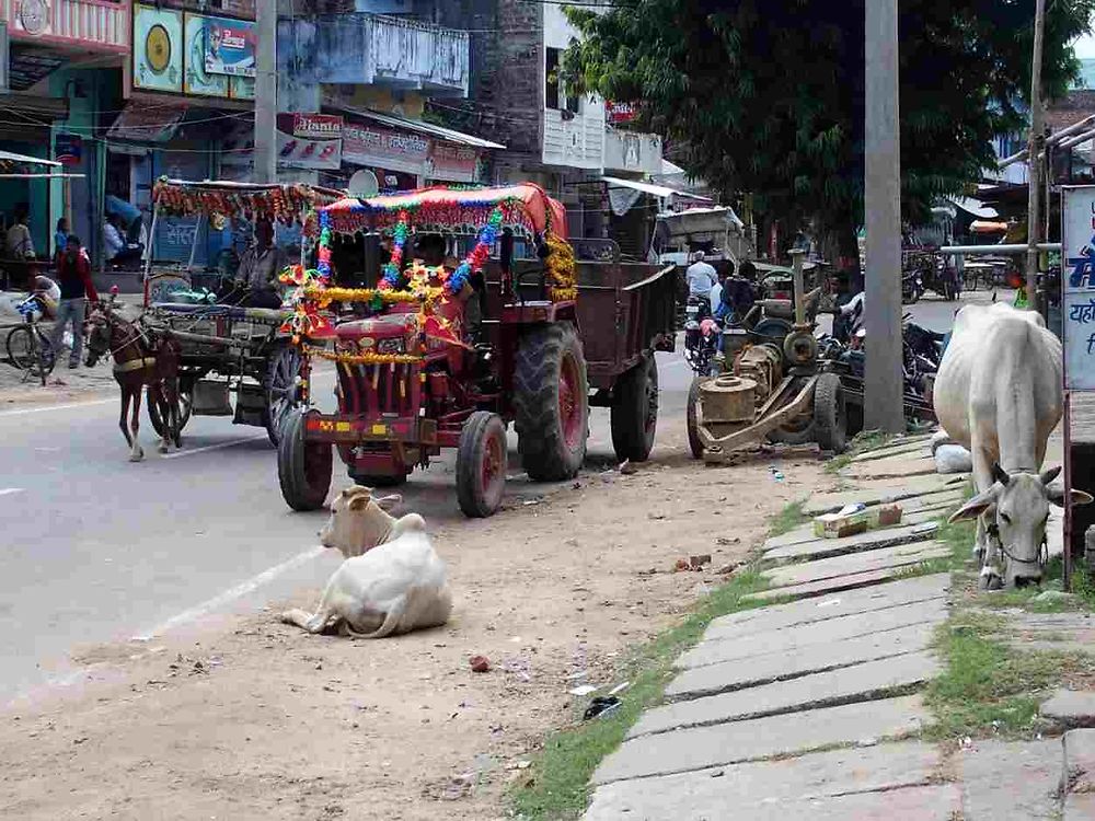 Dans les rues de Rajgir