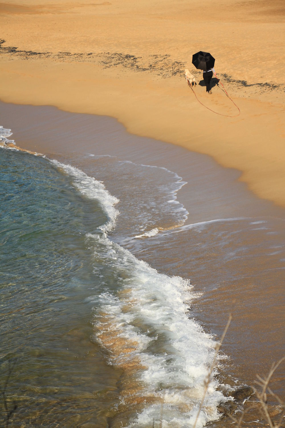 La Fosca à Palamos