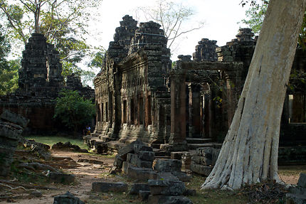 Fromager et Banteay Kdei