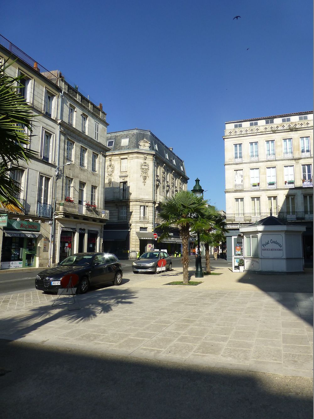 Palmiers à Rochefort