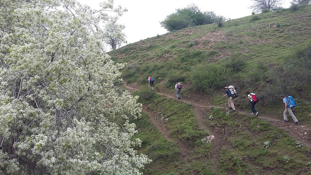 Trekking dans les monts Célestes