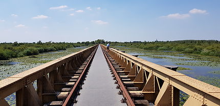 Ancien pont ferroviaire sur une zone marécageuse