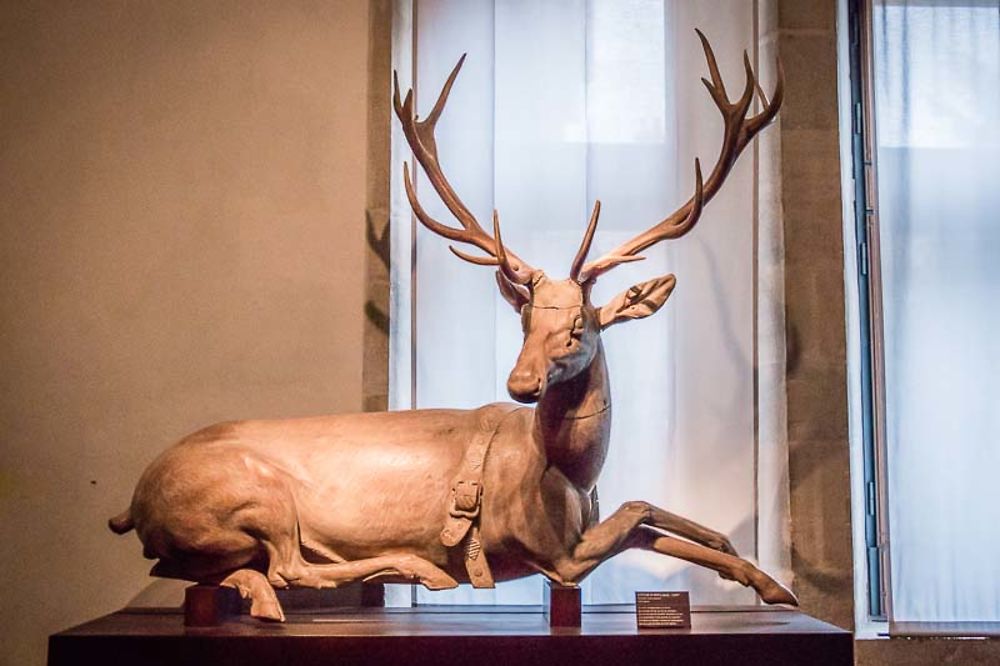 Besançon, Le majestueux cerf