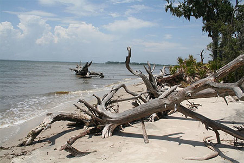 Jekyll island