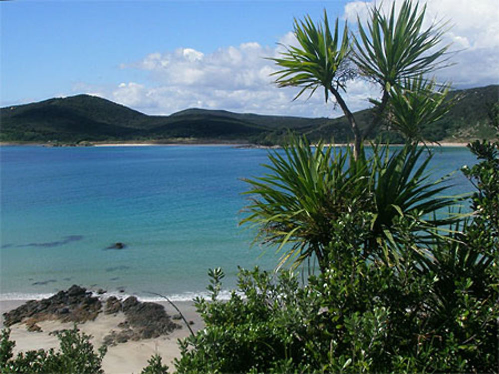 Maitai Bay